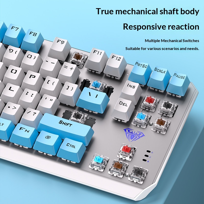 Aula F3087 Mechanical Keyboard - đánh giá và giá Esports Gaming Pcs